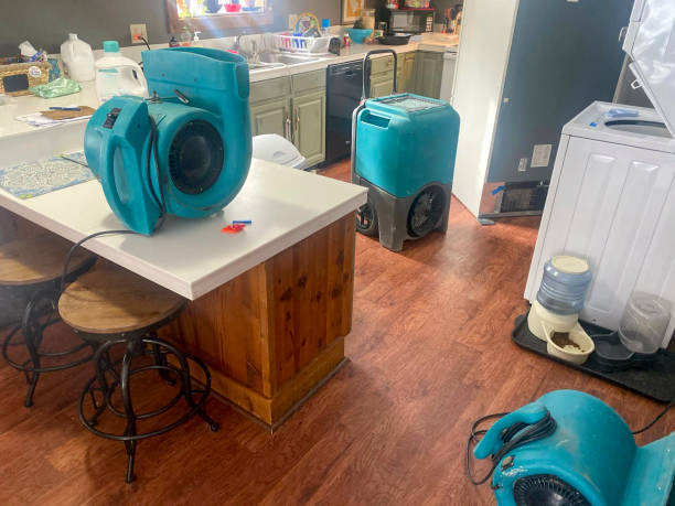 Best Local water damage restoration  in Raytown, MO