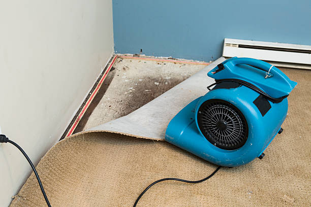 Best Local water damage restoration  in Raytown, MO